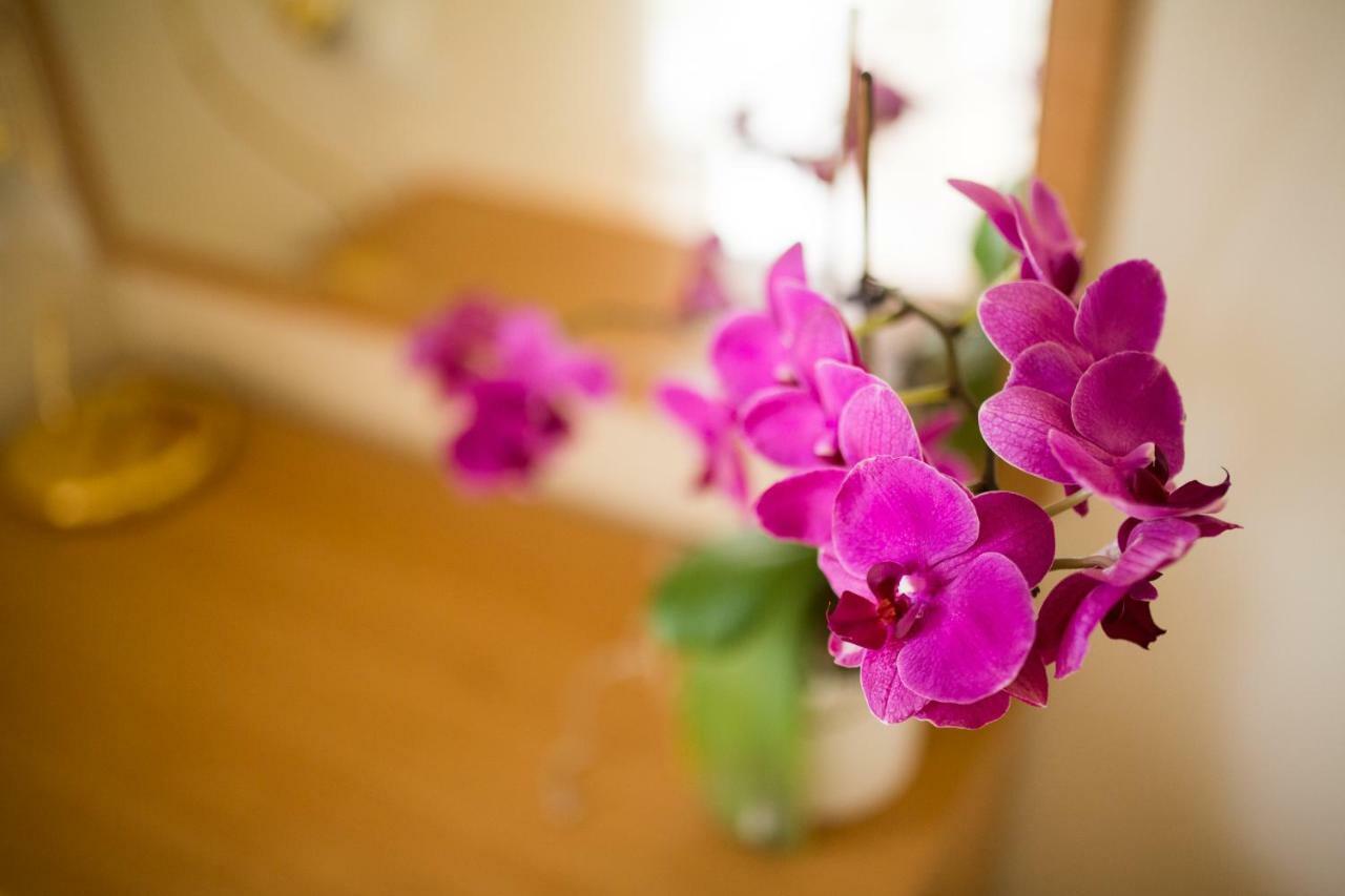 מטולי Apartments Villa Majda מראה חיצוני תמונה